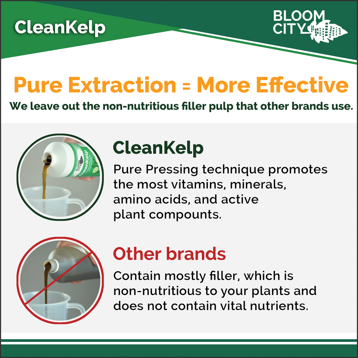 CleanKelp | Organic